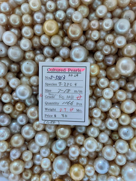 South Sea Natural Gold - 7 - - 18mm - Multi RD AA/A DT - S-5863