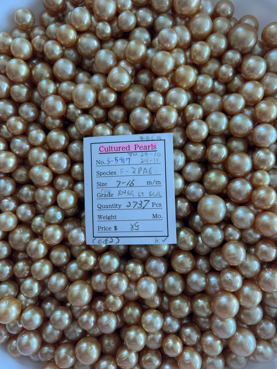 South Sea Natural Gold - 7 - - 16mm - COG RNSR LT SCR - S-5917