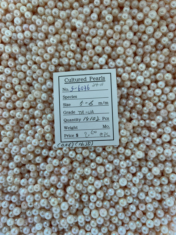 Akoya - 5 - - 6mm - TA- UA - S-6036