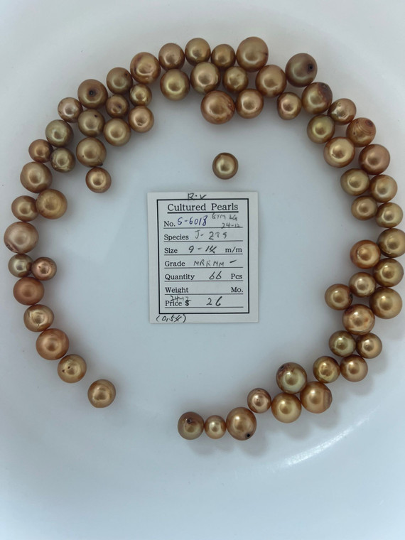 South Sea Dyed Gold - 9 - - 14mm - MRR MM - - S-6018