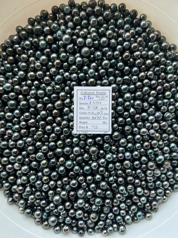 Tahiti - 8 - - 12mm - MMSB-SH DK 6L+ -<TAG> - T-710