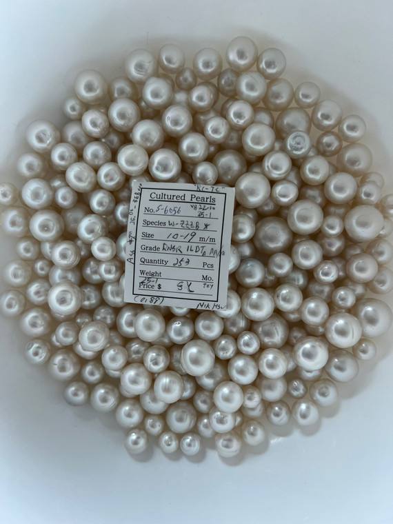 South Sea White - 10 - - 19mm - RNSR 1LDT AA/A - S-6056