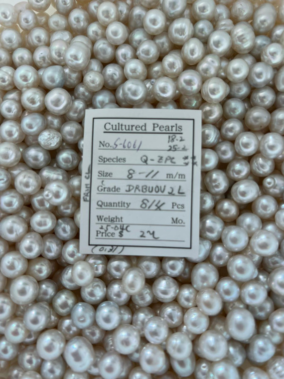 South Sea White - 8 - - 11mm - DRBUOV 2L - S-6061