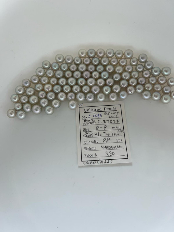 South Sea White - 8 - - 9mm - AKOYA - W/S TOP 1KYU AAA - S-6085