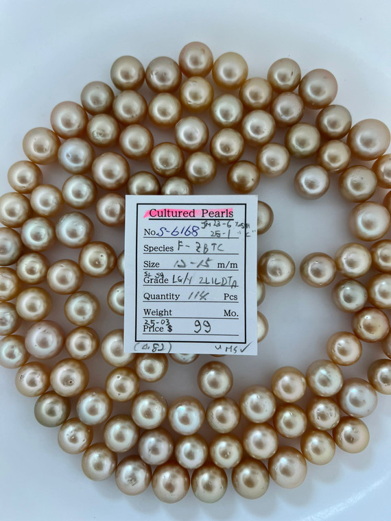South Sea Natural Gold - 12 - - 15mm - LG/Y 2L1LDT-A (SL SH) - S-6168