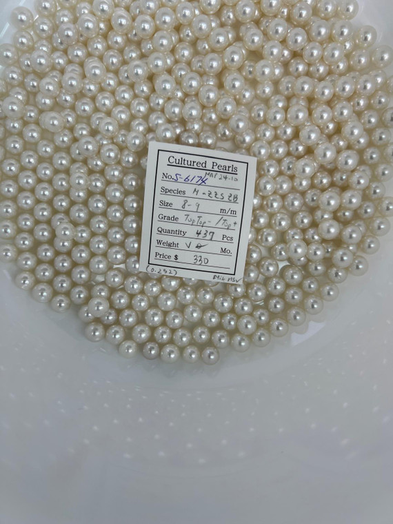 South Sea White - 8 - - 9mm - TOPTOP- / TOP+ - S-6174