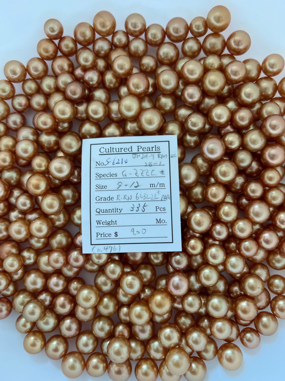South Sea Dyed Gold - 9 - - 12mm - R-RN 6L32L+ AAA - S-6210