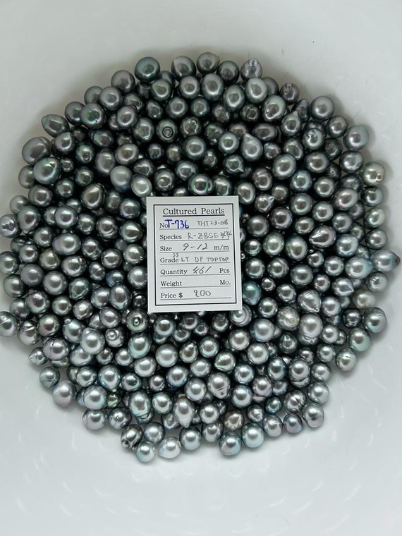 Tahiti - 9 - - 12mm - SS LT DP TOPTOP - <TAG> - T-736