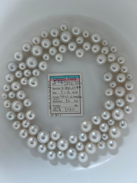 South Sea White - 9 - - 16mm - TOP+/- LS AAA/AA - S-6171