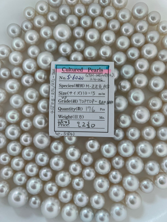 South Sea White - 10 - - 15mm - TOTOP- GEM/AAA - S-6020