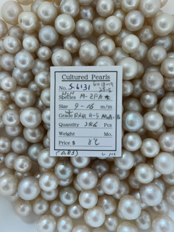 South Sea White - 9 - - 16mm - W- RNSR 4-5 AA-A-B - S-6131