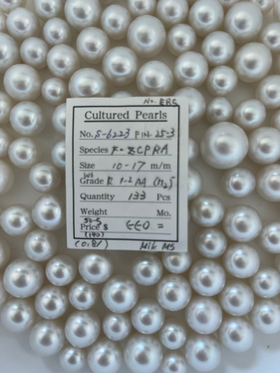 South Sea White - 10 - - 17mm - WS R 1-2 AA (M2-) - S-6223