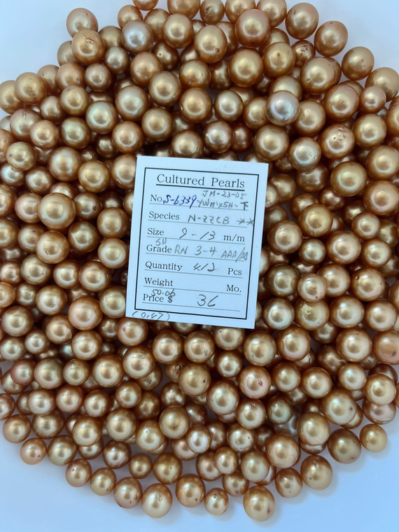 South Sea Dyed Gold - 9 - - 13mm - SH RN 3-4 AAA/AA - S-6339