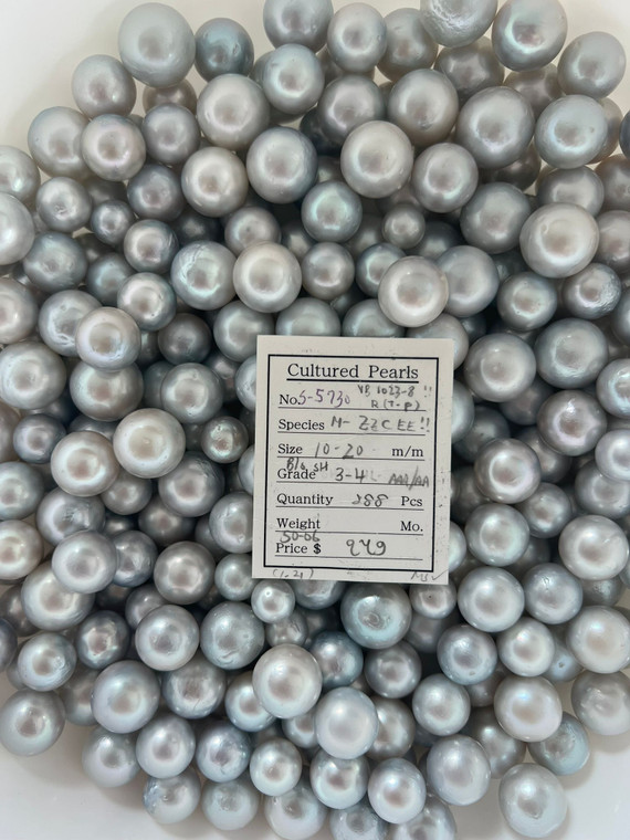 South Sea White - 10 - -20mm - SH 2L1L- AAA/AA - S-5730