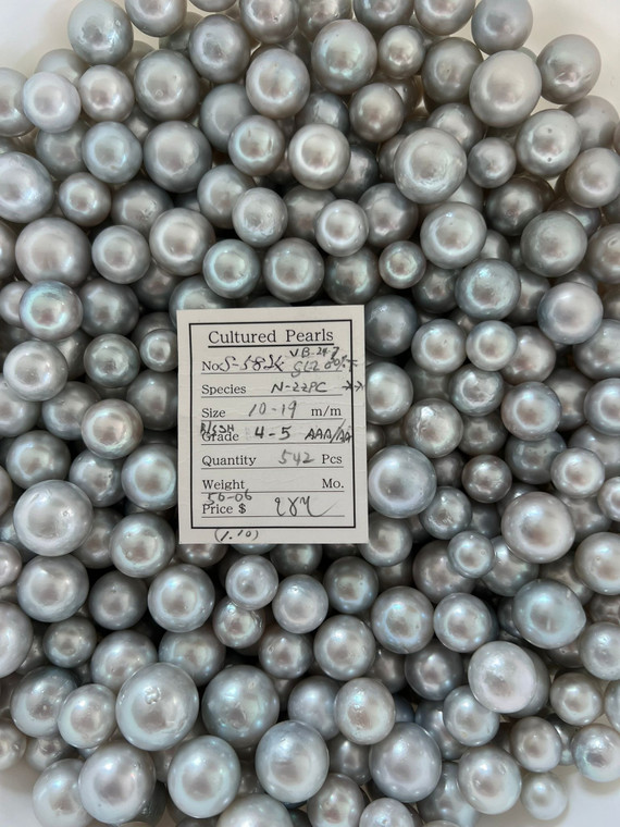 South Sea White - 10 - - 19mm - BLUE 3L2L AA - S-5824