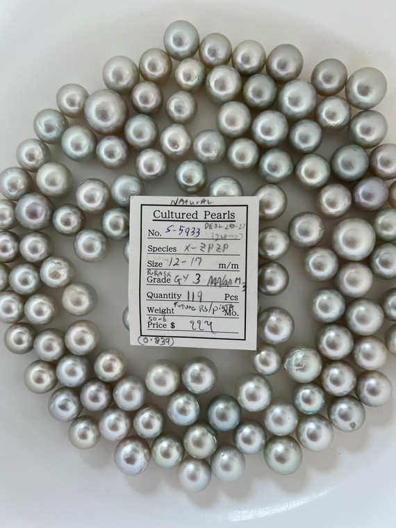 South Sea White - 12 - - 15mm - R-RN-SR GY 3L2L1L - S-5933