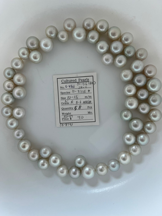 South Sea White - 12 - - 15mm - DTAB AAA Silv - S-4306