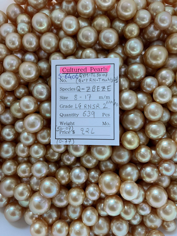 South Sea Natural Gold - 8 - - 17mm - LG RNSR 2 AAA/AA - S-6406