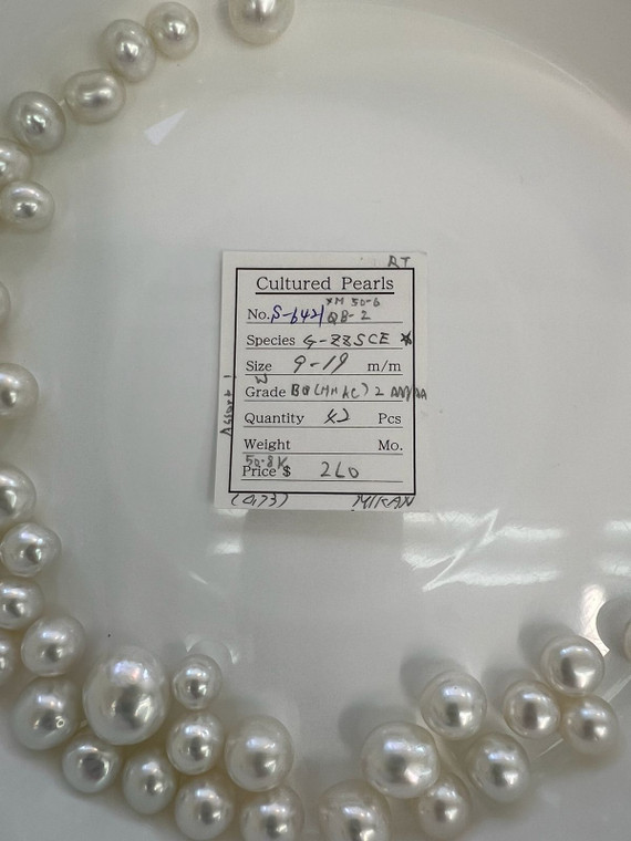 South Sea White - 9 - - 19mm - W BQ (MMKC) 2 AAA/AA - S-6421
