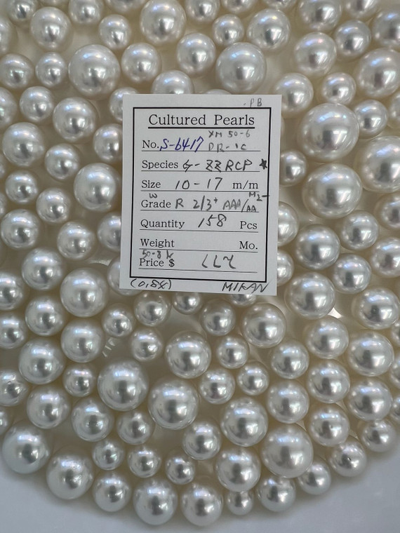 South Sea White - 10 - - 17mm - W R 2/3+ AAA/AA M2- - <TAG> - S-6417