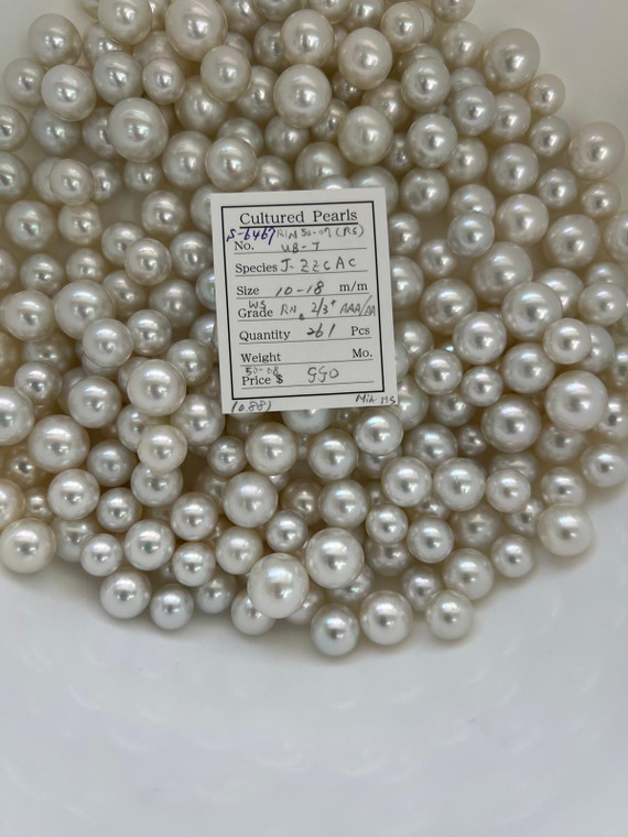 South Sea White - 10 - - 18mm - WS RN-B 2/3+ AAA/AA - S-6467