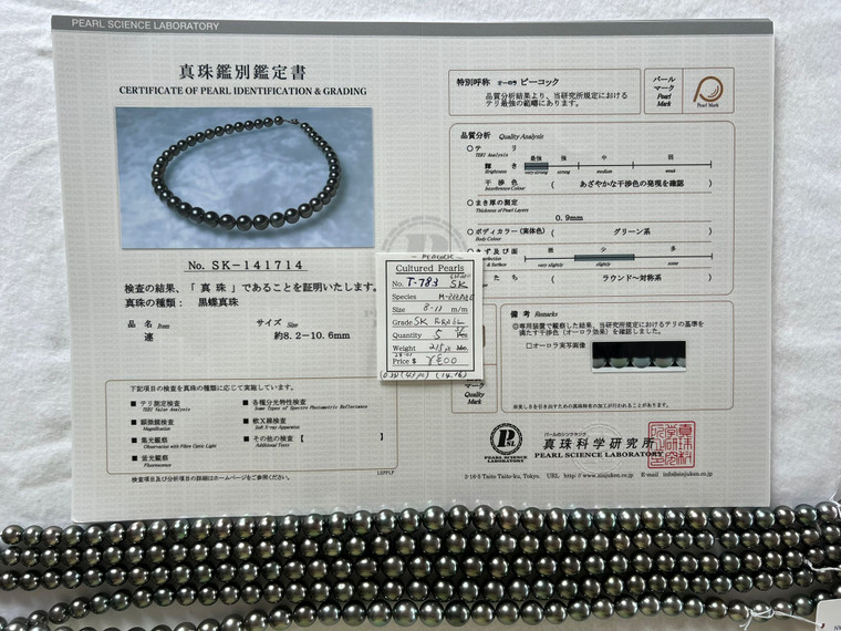 Necklace - Tahiti SK 8 - - 11mm - PEACOCK - R-RN 6L (AP) - T-783