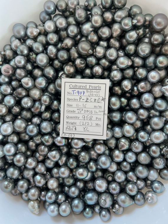 Tahiti - 11 - - 16mm - MED LT DPSB 3L AAA/AA ( 2 / 2) - <TAG> - T-907