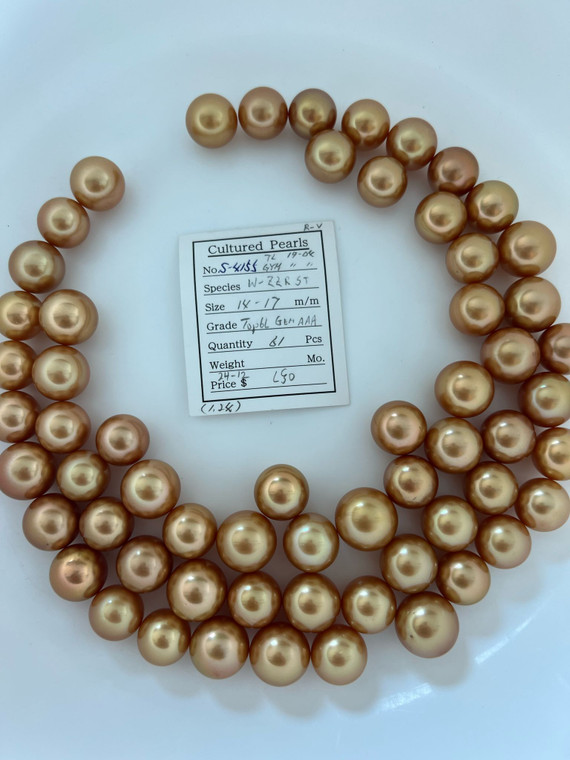 South Sea Dyed Gold - 14 - - 17mm - TOP6L GEM-AAA - <TAG> - S-4155