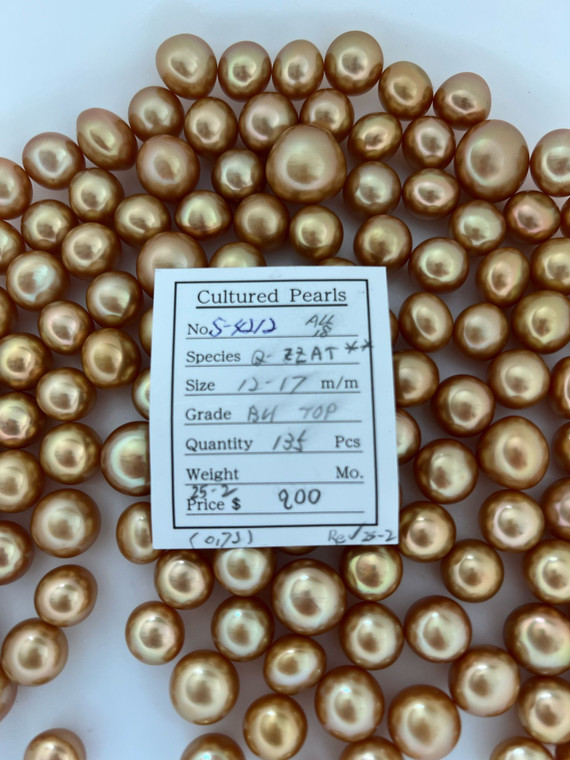 South Sea Dyed Gold - 12 - - 17mm - BU TOP - <TAG> - S-4212