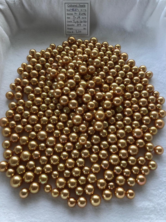 South Sea Dyed Gold - 9 - - 14mm - TOP6L GEMGEM - <TAG> - S-4826