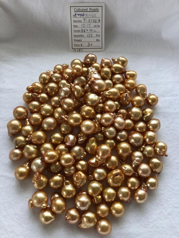 South Sea Dyed Gold - 12 - - 17mm - BQ  = TAIL - <TAG> - S-4943