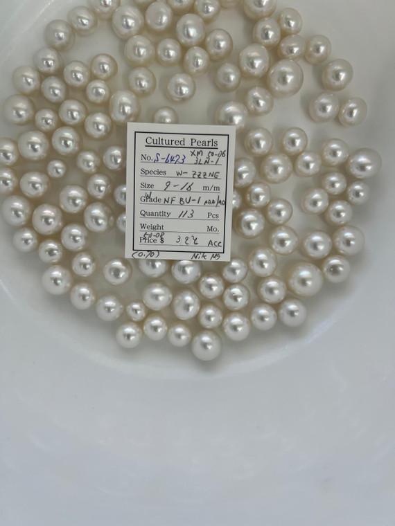 South Sea White - 9 - - 16mm - W NF-BU 1 AAA/AA - <TAG> - S-6473