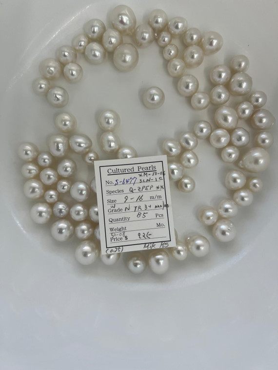 South Sea White - 9 - - 16mm - W N-TR 3+ AAA/AA - <TAG> - S-6477