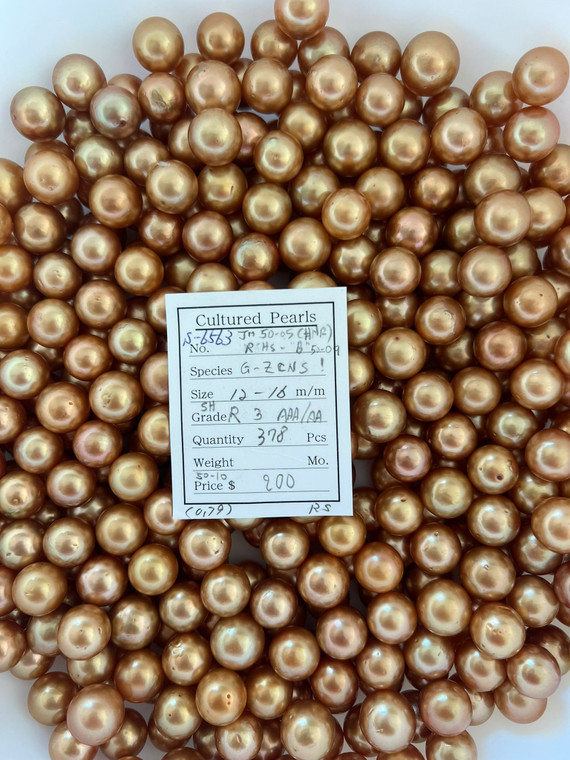 South Sea Dyed Gold - 12 - - 16mm - R 3 AAA/AA SH - S-6563