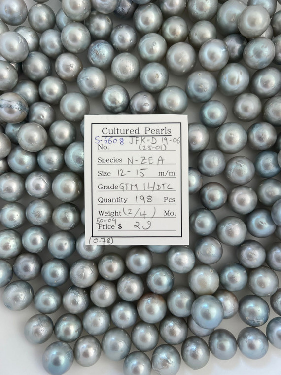 South Sea White - 12 - - 15mm - GTM 1L/DTC ( 2 / 4 ) - S-6608