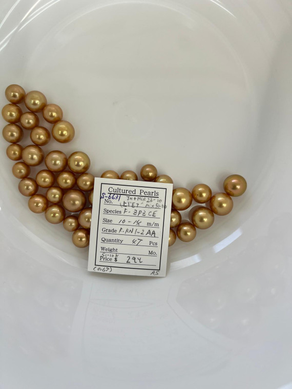 South Sea Dyed Gold - 10 - - 14mm - R-RN 1-2 AA - S-6631