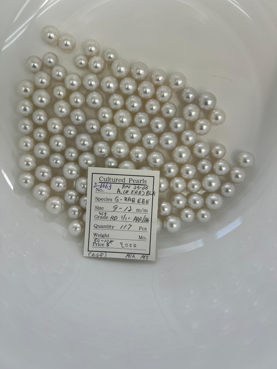 South Sea White - 9 - - 12mm - SS WS RD 1/1- AAA/AA - S-6663