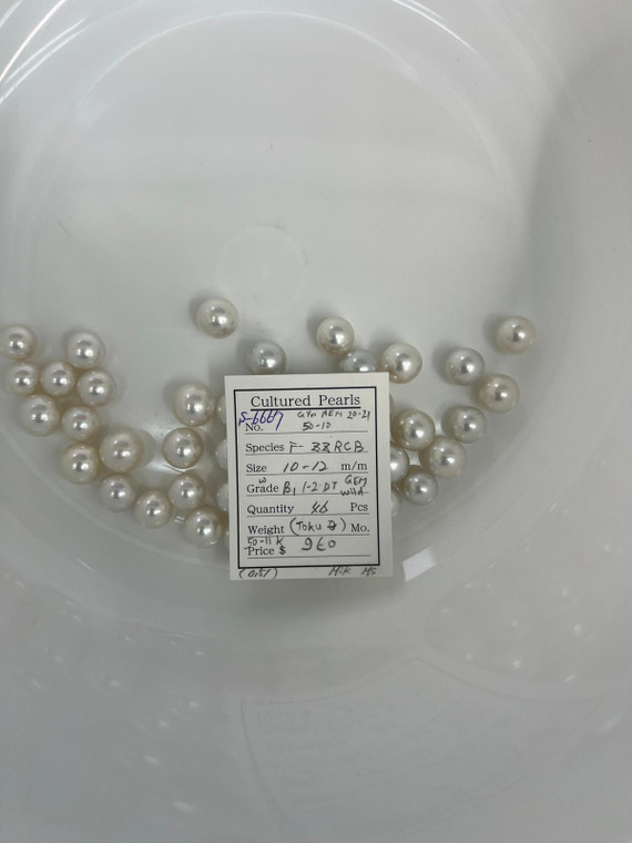 South Sea White - 10 - - 12mm - W B1 1-2 DT GEM WILD - S-6667