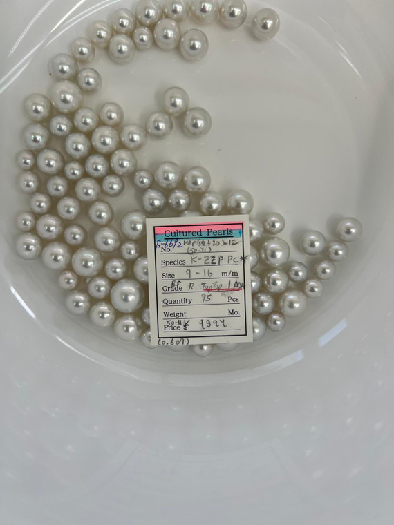 South Sea White - 9 - - 16mm - BS R TOPTOP 1 AAA - S-6692