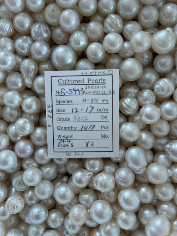 South Sea White - 12 - - 17mm - SBCL TA - <TAG> - S-5443