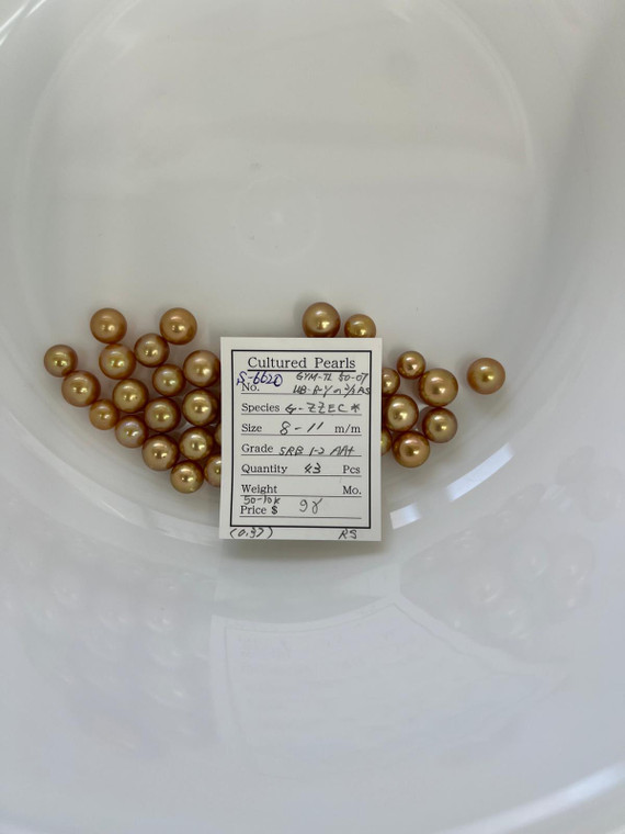 South Sea Dyed Gold - 8 - - 11mm - SS SRB 1-2 AA+ - <TAG> - S-6620