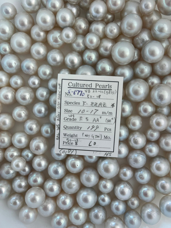 South Sea White - 10 - - 17mm - WS R 5 AA+ (SH+) - S-6770