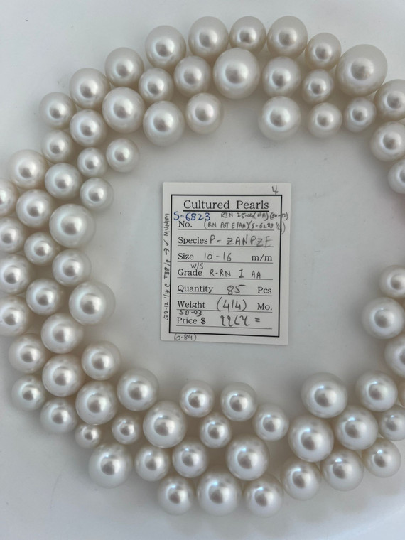 South Sea White - 10 - - 16mm - W/S R-RN 1 AA ( 4 / 4 ) - S-6823