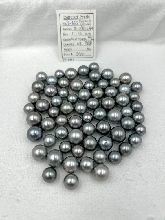 Tahiti - 11 - - 15mm - SILV TOP6L AAA/AA (SIZE) - <TAG> - T-665