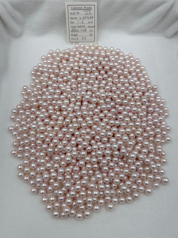 Akoya - 7 - - 8mm - TOPTOP- AAA/AA- - <TAG> - S-21