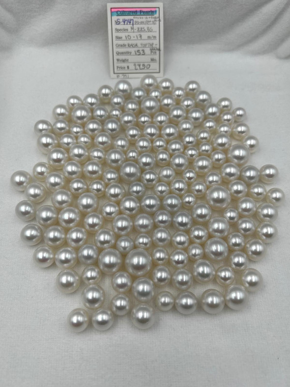South Sea White - 10 - - 17mm - SRD- 1-2 AAA/AA - <TAG> - S-4747