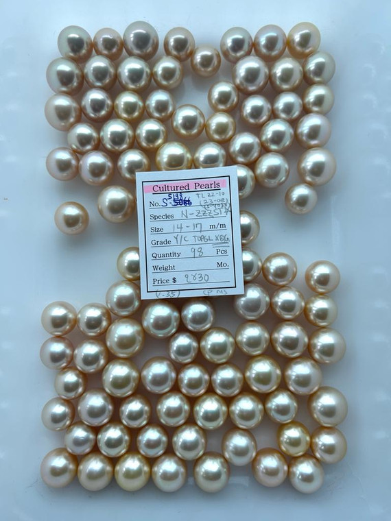 South Sea Natural Gold - 14 - - 17mm - Y/C TOP6L XBIG - <TAG> - S-5198