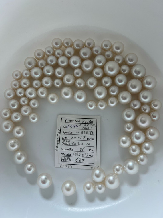 South Sea White - 10 - - 17mm - CAS AA RD 3-3+ AA - <TAG> - S-5790