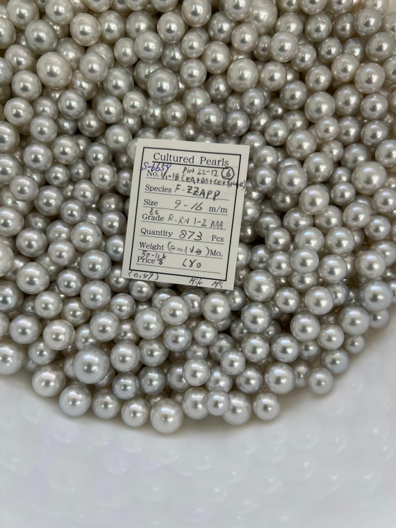 South Sea White - 9 - - 16mm - BS R-RN 1-2 AAA - <TAG> - S-6659