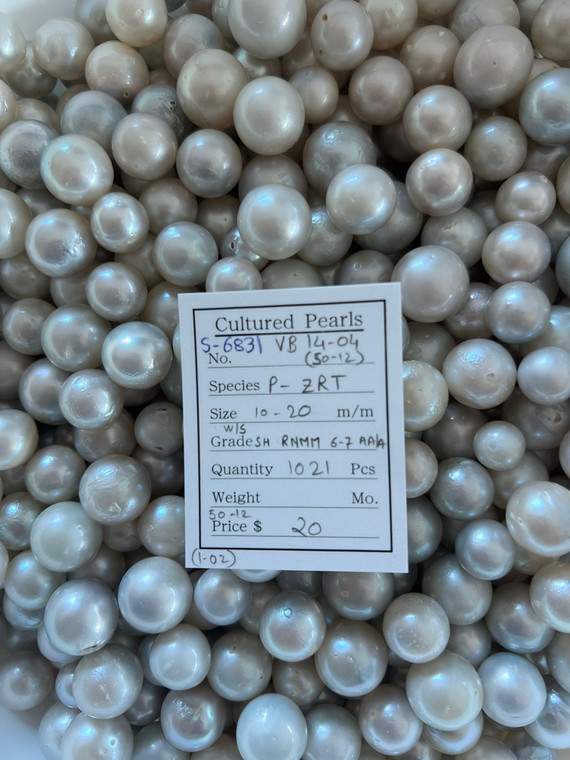 South Sea White - 10 - - 20mm - W/S SH RNMM 6-7 AA/A - <TAG> - S-6831